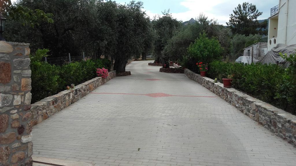 Studios Elianthos Skála Kallirákhis Extérieur photo