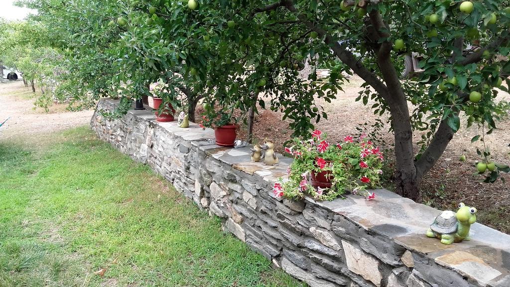 Studios Elianthos Skála Kallirákhis Extérieur photo